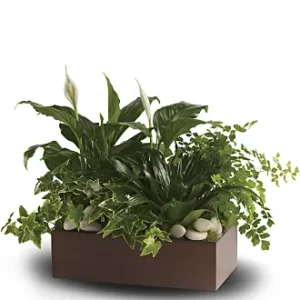 Teleflora's Quiet Expressions