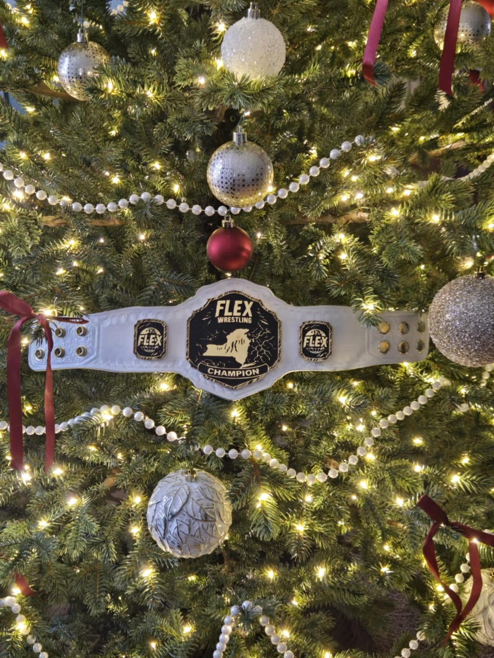 WhatsApp Image 2025-12-28 at 12.59.37 AM